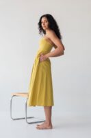 Picnic Fit and Flare Dress in Chartreuse