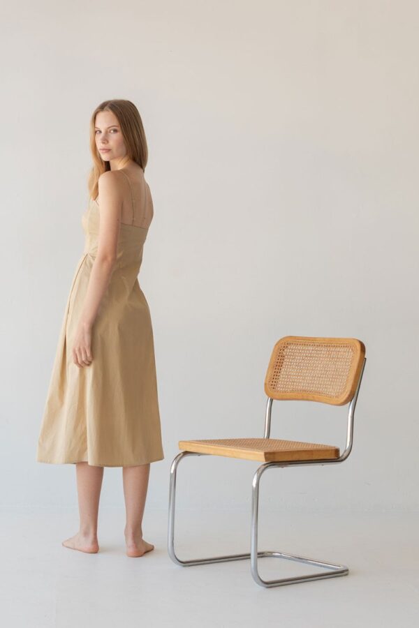 Picnic Fit and Flare Dress in Warm Sand